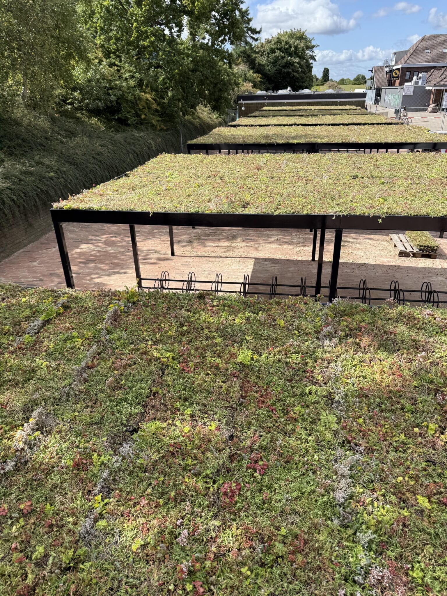 Række af cykeloverdækninger med sedumtag ved Brøndby Strand Station