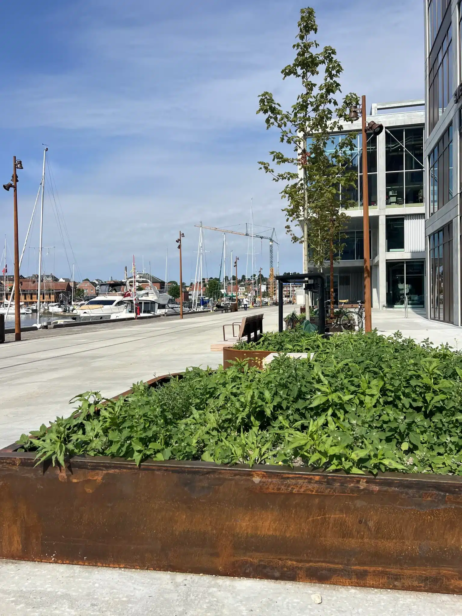 grøn plantekasse af corten stål i kraftig kvalitet